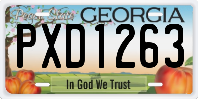 GA license plate PXD1263