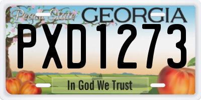GA license plate PXD1273