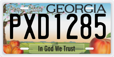 GA license plate PXD1285