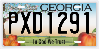 GA license plate PXD1291