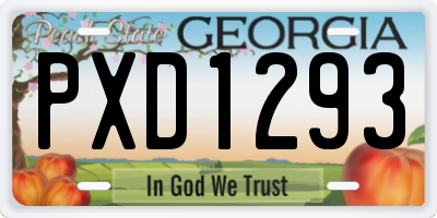 GA license plate PXD1293