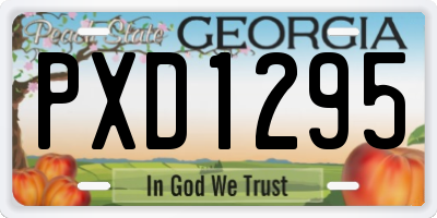 GA license plate PXD1295