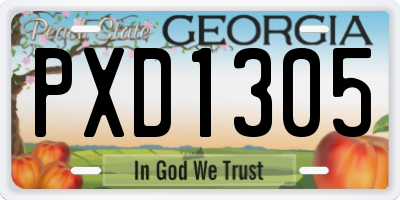 GA license plate PXD1305