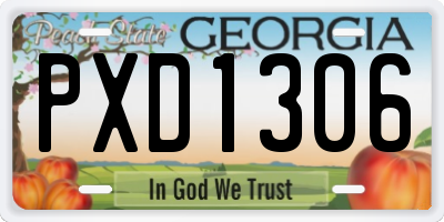 GA license plate PXD1306