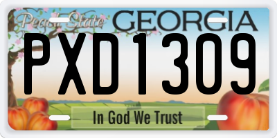 GA license plate PXD1309