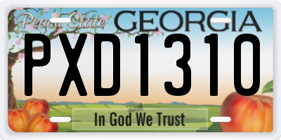 GA license plate PXD1310