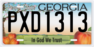 GA license plate PXD1313