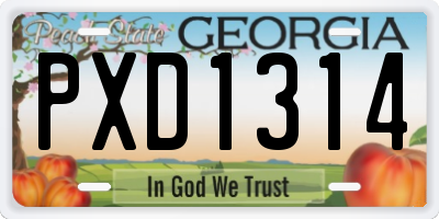 GA license plate PXD1314