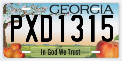 GA license plate PXD1315