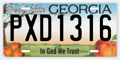 GA license plate PXD1316