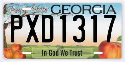 GA license plate PXD1317