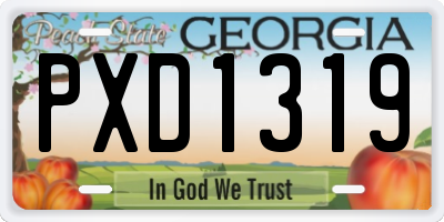 GA license plate PXD1319