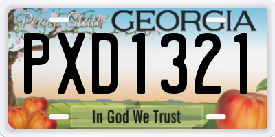 GA license plate PXD1321