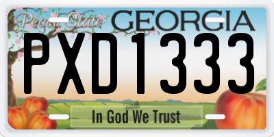 GA license plate PXD1333