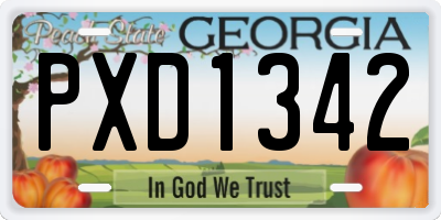 GA license plate PXD1342