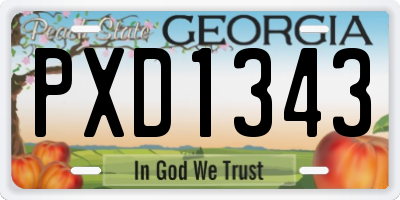 GA license plate PXD1343