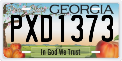 GA license plate PXD1373