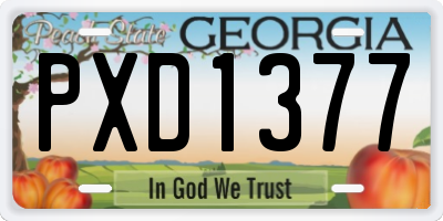 GA license plate PXD1377