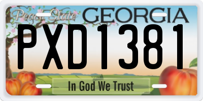 GA license plate PXD1381
