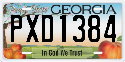 GA license plate PXD1384