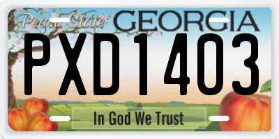 GA license plate PXD1403