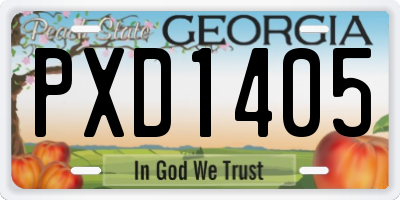 GA license plate PXD1405