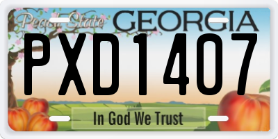 GA license plate PXD1407