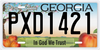 GA license plate PXD1421