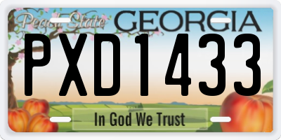 GA license plate PXD1433