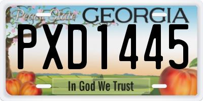 GA license plate PXD1445