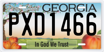 GA license plate PXD1466