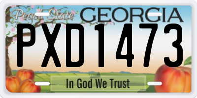 GA license plate PXD1473