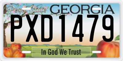 GA license plate PXD1479