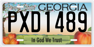 GA license plate PXD1489