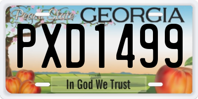 GA license plate PXD1499
