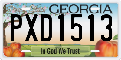 GA license plate PXD1513