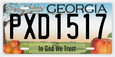 GA license plate PXD1517