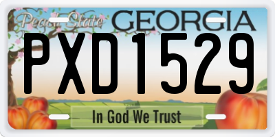 GA license plate PXD1529