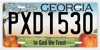 GA license plate PXD1530