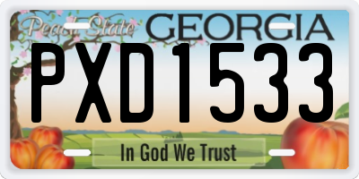 GA license plate PXD1533