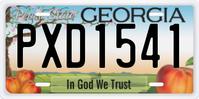 GA license plate PXD1541
