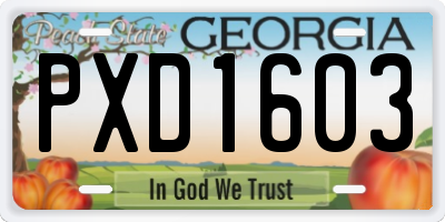 GA license plate PXD1603