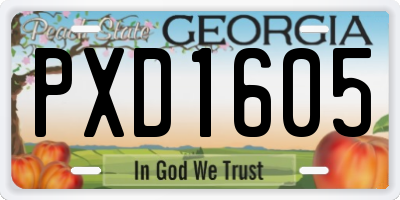GA license plate PXD1605