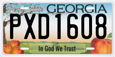 GA license plate PXD1608