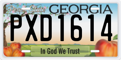 GA license plate PXD1614