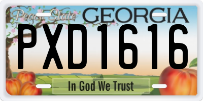 GA license plate PXD1616