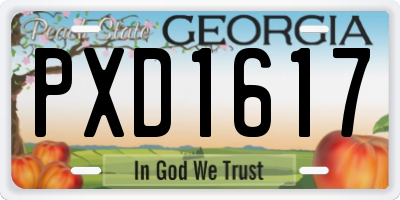 GA license plate PXD1617