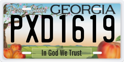 GA license plate PXD1619