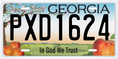 GA license plate PXD1624