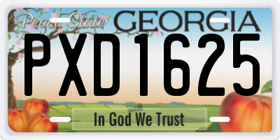 GA license plate PXD1625